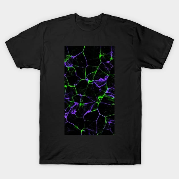 Neon Green & Purple Marble Pattern T-Shirt by Alexander S.